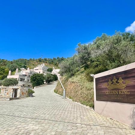 Golden King Villas Vasilias  Eksteriør billede